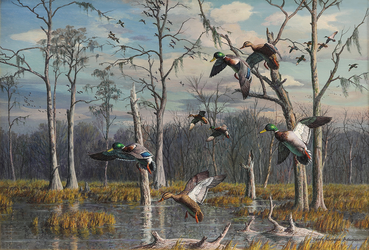 Harry Curieux Adamson (American, 1916–2012), Flooded Timber Mallards, oil on canvas board, 24" x 36".Estimate: $10,000–$15,000