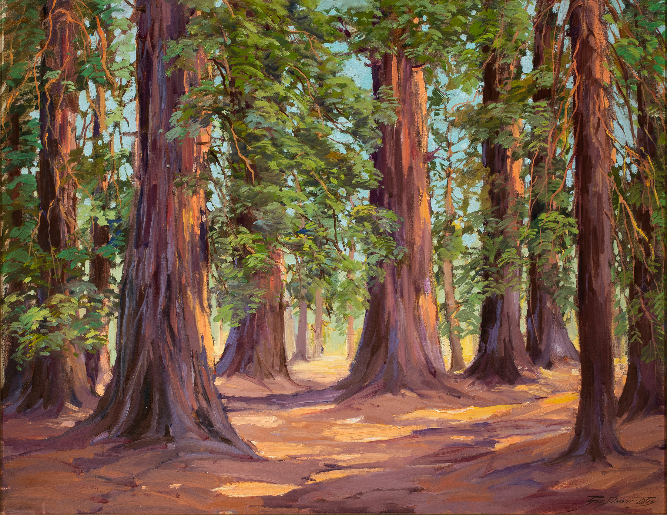 George Demont Otis (American, 1879–1962) Marin Redwoods, oil on canvas, 28″ x 36″.