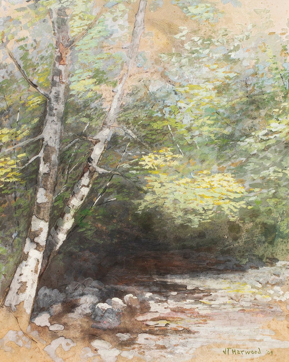 James Taylor Harwood (American, 1860–1940), Birch by a Stream (Utah), 1909, watercolor, 15.5″ x 13.5″.